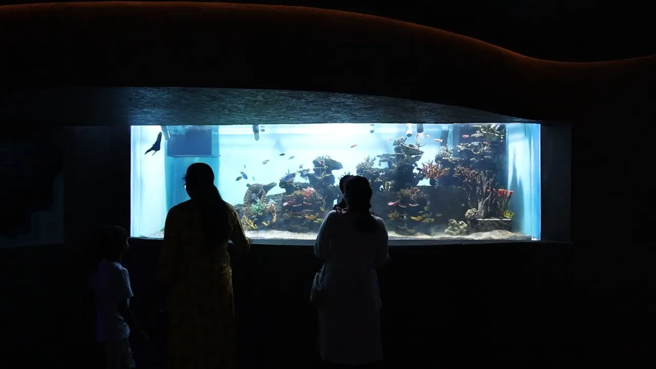 Namma Bengaluru Aquarium